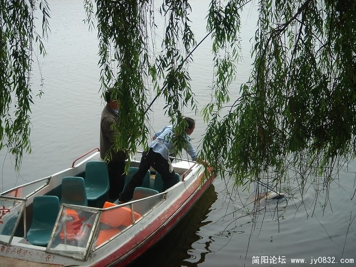 鱼.3.jpg