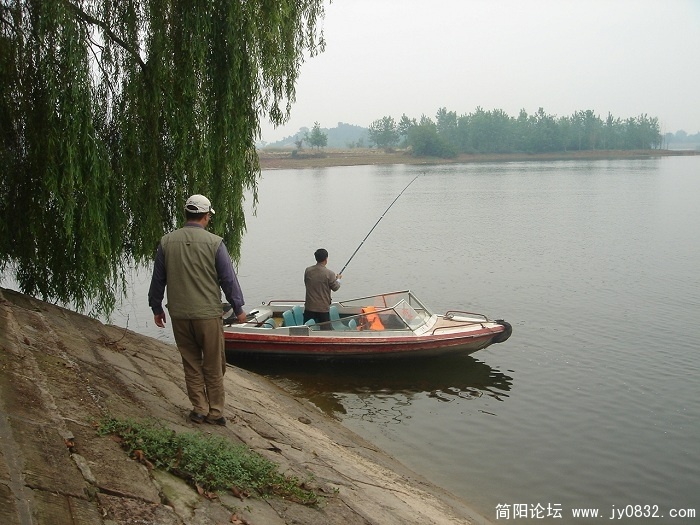 鱼.1.jpg