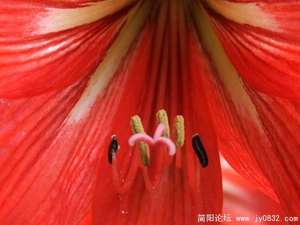 DSCF9739aa.jpg