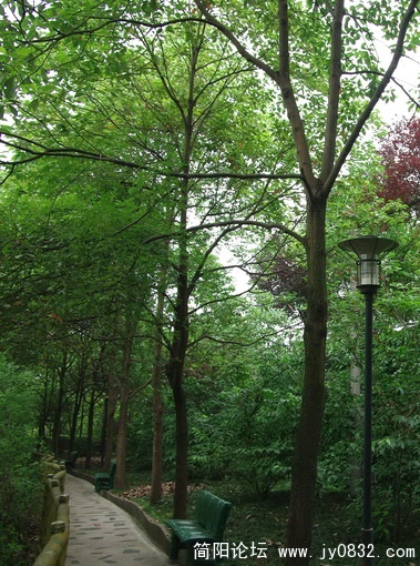 k (15).jpg