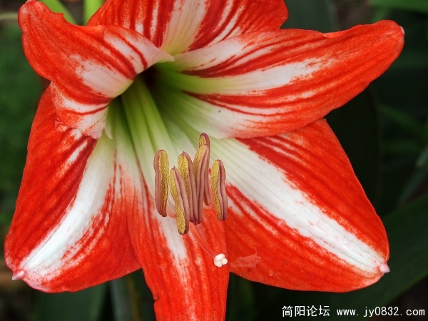 DSCF9757a.jpg
