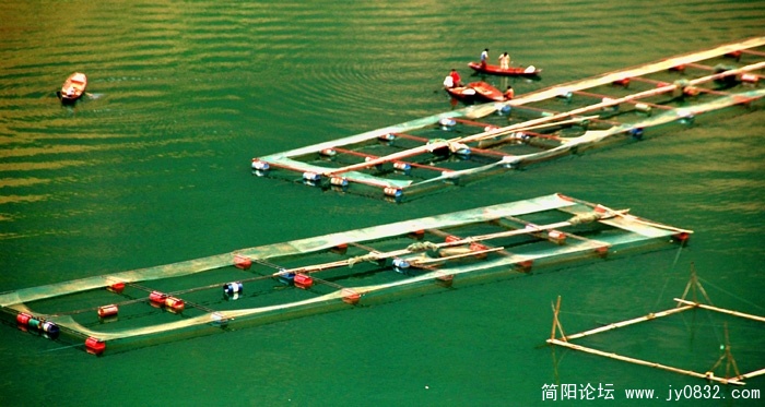 生计造景.jpg