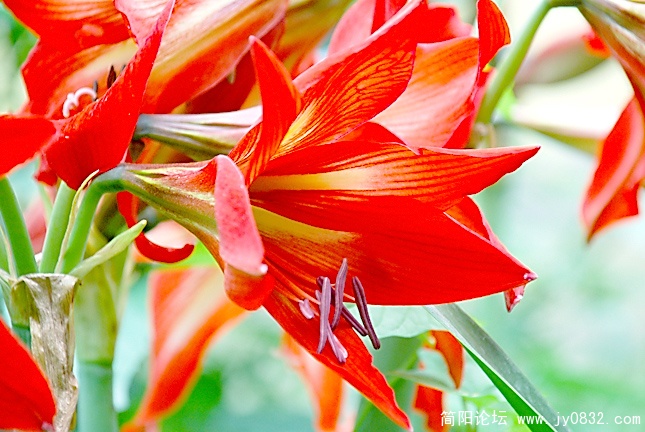 DSC_1231.jpg