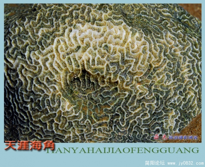天涯海角（三）—10副本.jpg