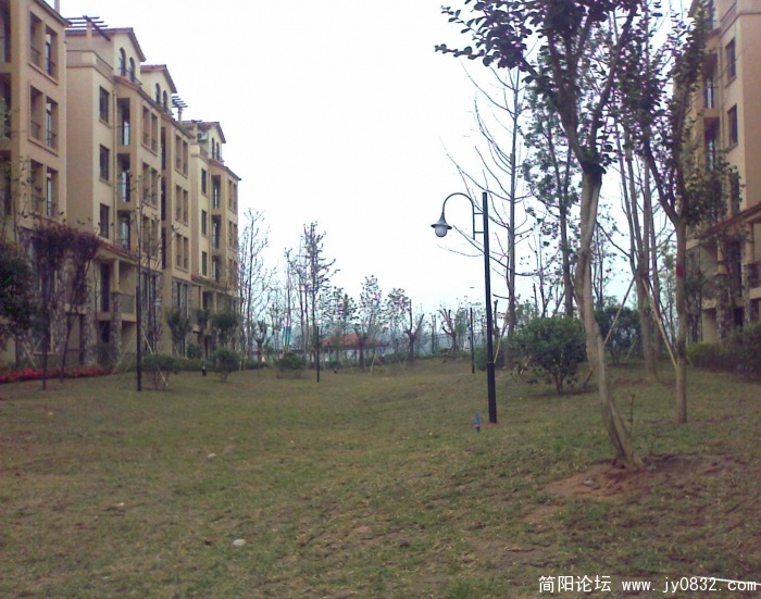 据说27米宽的纯绿化带