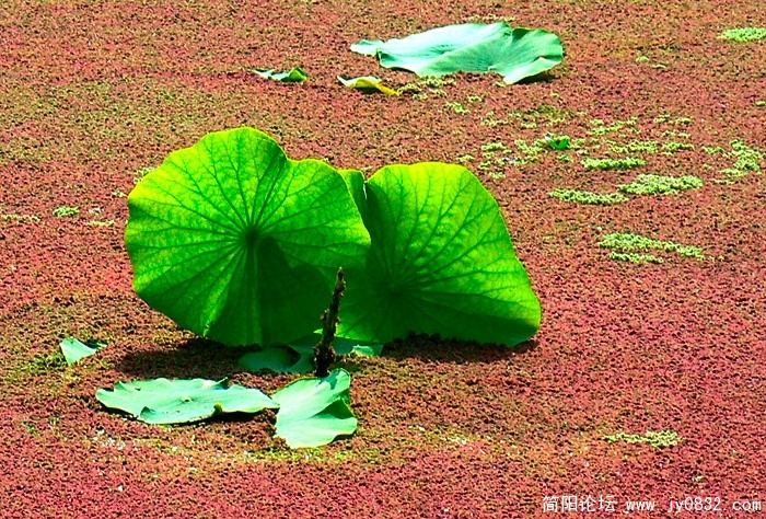 P1010741 拷贝.jpg