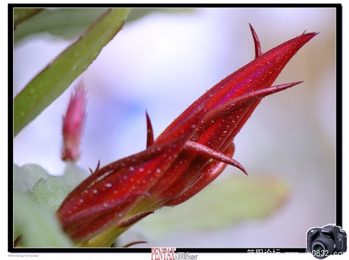 _IGP5470.jpg
