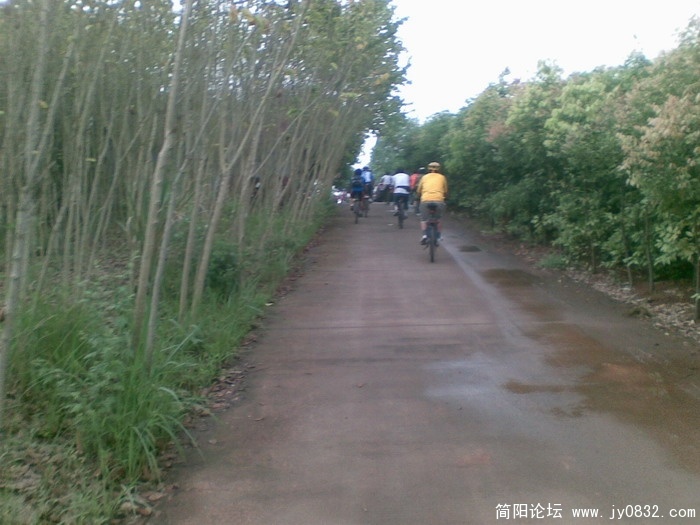 图像003.JPG