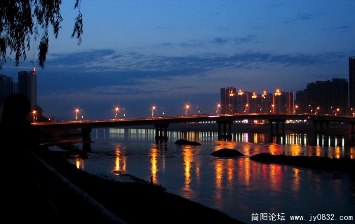 滨江夜色始阑珊.jpg