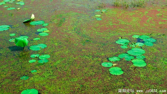 P1010731 拷贝.jpg