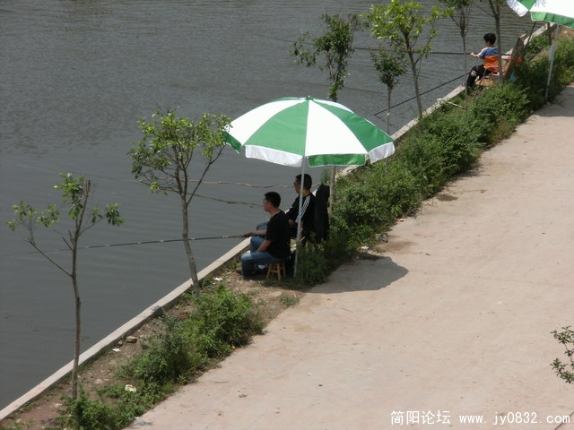 吃了饭后,继续钓,硬是执着