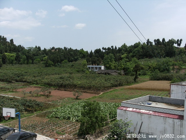 来点景色.......