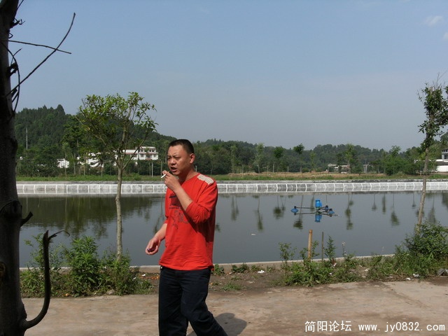 看见了什么?