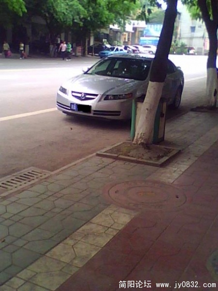 IMG1481A.jpg