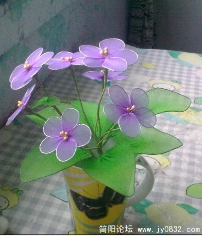 89.jpg