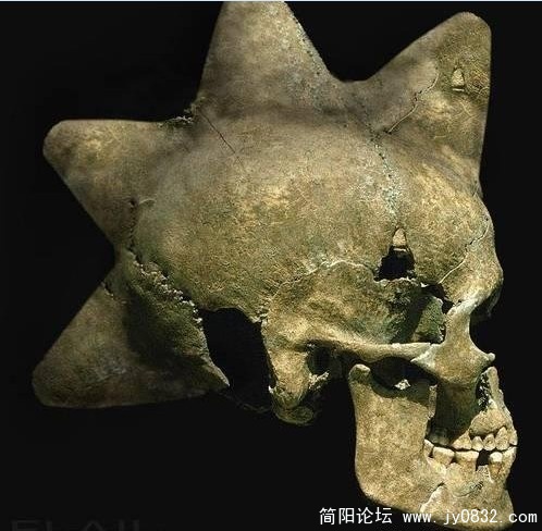 头上有4个角的头盖骨。汗下。。。。