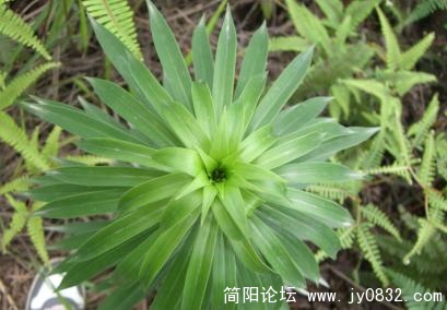 未命名512.jpg
