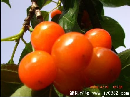 未命名516.jpg