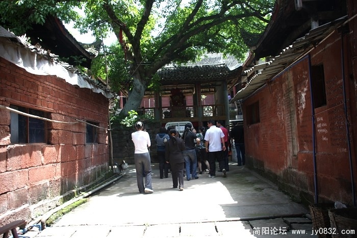 照片 523.jpg