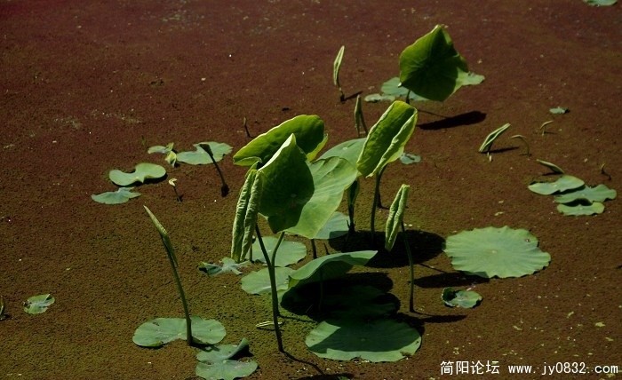 照片 562.jpg