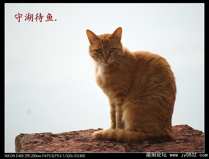 待鱼..jpg