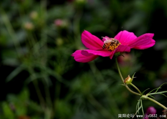 照片 296.jpg