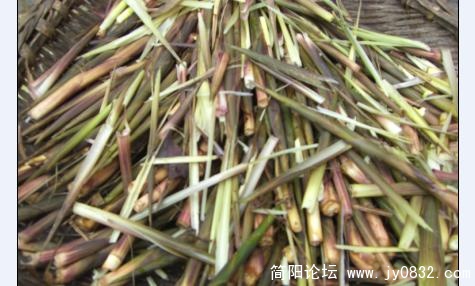 未命名511.jpg