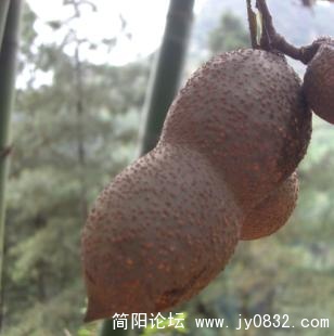 未命名514.jpg