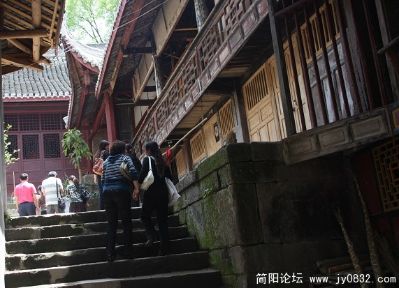 照片 528.jpg
