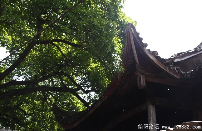 照片 525.jpg