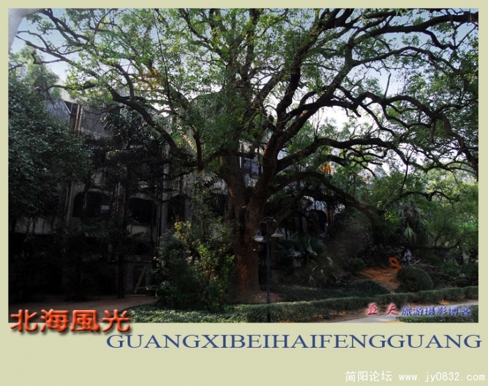 北海风光——08副本.jpg