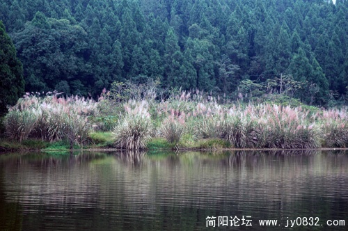 小九寨－简阳五凤山风光1 (7).JPG