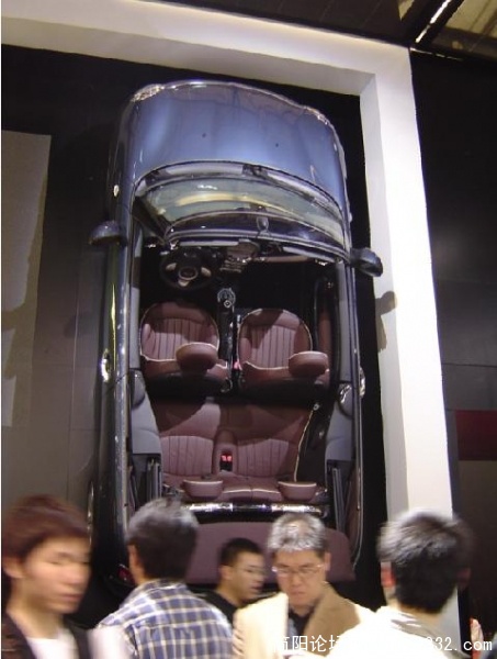 41.jpg