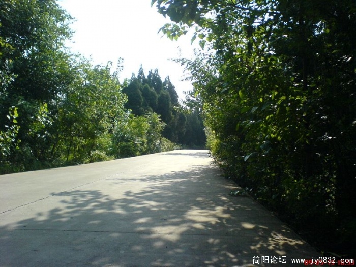 DSC04796.JPG
