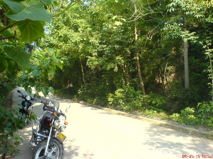 DSC04794.JPG