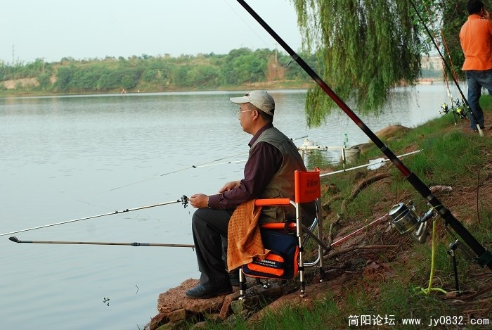 丛生,2.jpg