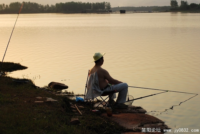 丛生,4.jpg