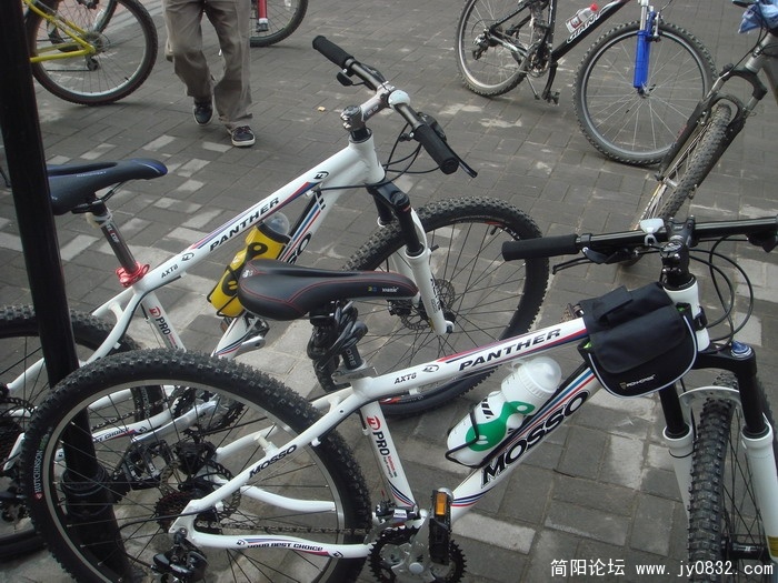 DSC06247.JPG