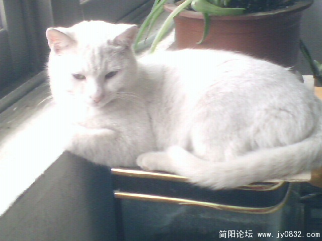 IMG0143A.jpg