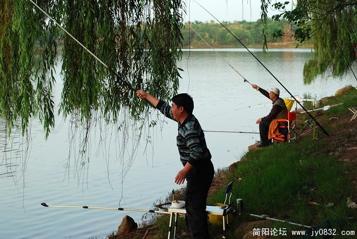丛,1.jpg