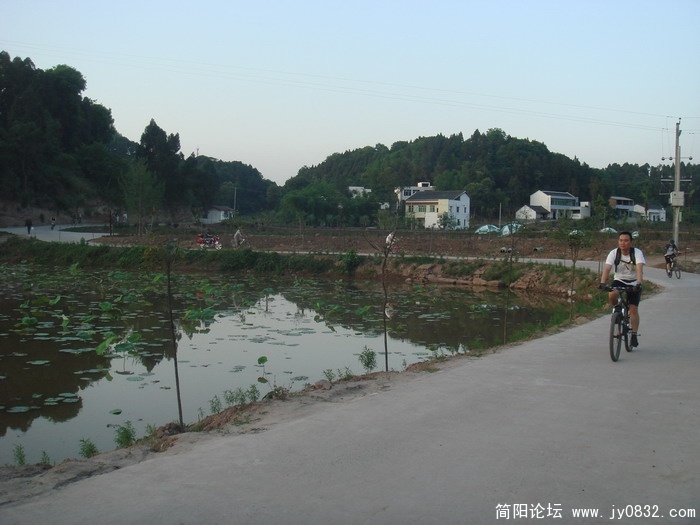 DSC06341.JPG