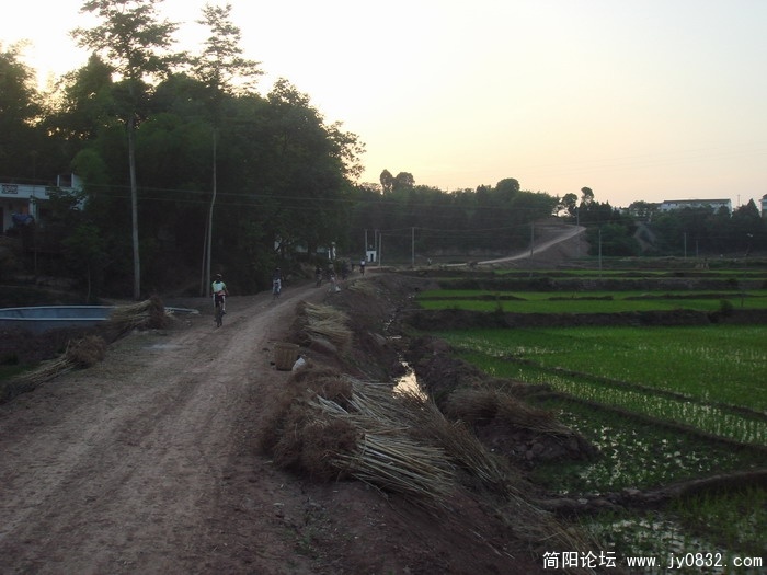 DSC06348.JPG