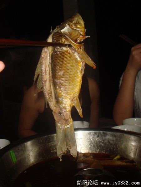 DSC06373.JPG