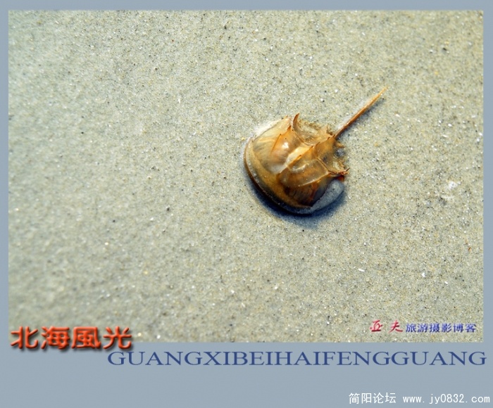 北海银滩——02副本.jpg