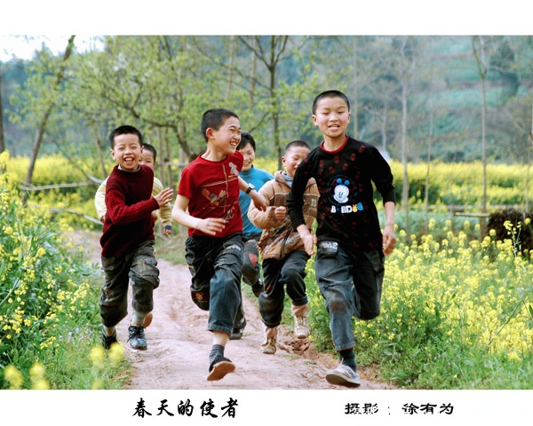 春天的使者600.jpg