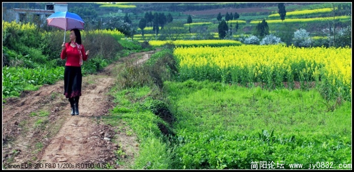 家乡的小路