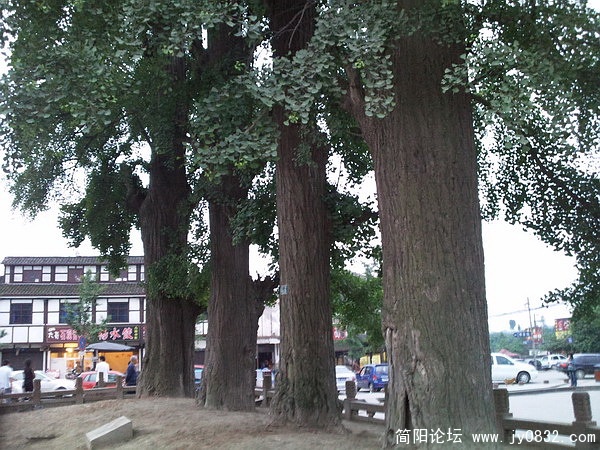 照片1263_调整大小.jpg
