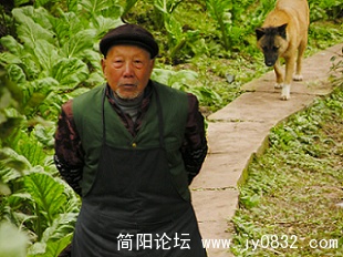 田园生活.JPG