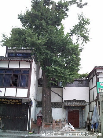照片1259_调整大小.jpg