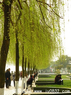 晨曦。滨江路.JPG